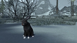 ������#004�Υ���ͥ���/��Ĺ�����Υ����������衡��LotRO�ס��緿���åץǡ����载�����ȺǸ�β��α�̿�ɤ�����Ƴ��