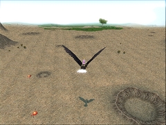 ꡼ No.043 | 417Ϥޤ緿åץǡȤξܡ֥ޥӥΥ3ǯǰե饤󥤥٥