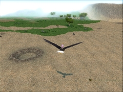 ꡼ No.044 | 417Ϥޤ緿åץǡȤξܡ֥ޥӥΥ3ǯǰե饤󥤥٥