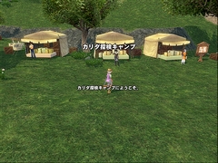 ꡼ No.045 | 417Ϥޤ緿åץǡȤξܡ֥ޥӥΥ3ǯǰե饤󥤥٥