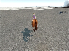 ꡼ No.080 | 417Ϥޤ緿åץǡȤξܡ֥ޥӥΥ3ǯǰե饤󥤥٥