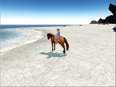 ꡼ No.081 | 417Ϥޤ緿åץǡȤξܡ֥ޥӥΥ3ǯǰե饤󥤥٥