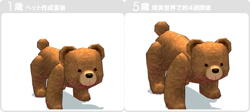 ������#027�Υ���ͥ���/�֥ޥӥΥ��������緿���åץǡ��Ȥ�»ܤ���ϻ�Ĥ��緿�����ڡ���򳫺�