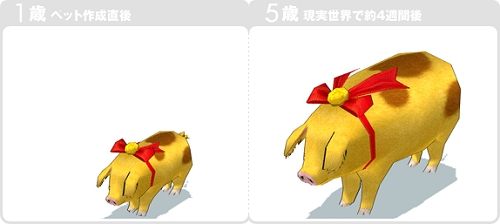 ������#035�Υ���ͥ���/�֥ޥӥΥ��������緿���åץǡ��Ȥ�»ܤ���ϻ�Ĥ��緿�����ڡ���򳫺�