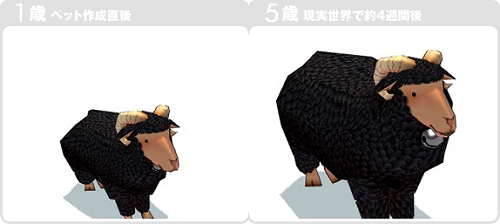 ������#039�Υ���ͥ���/�֥ޥӥΥ��������緿���åץǡ��Ȥ�»ܤ���ϻ�Ĥ��緿�����ڡ���򳫺�