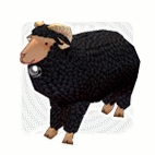 ������#041�Υ���ͥ���/�֥ޥӥΥ��������緿���åץǡ��Ȥ�»ܤ���ϻ�Ĥ��緿�����ڡ���򳫺�