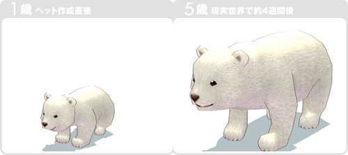 ������#046�Υ���ͥ���/�֥ޥӥΥ��������緿���åץǡ��Ȥ�»ܤ���ϻ�Ĥ��緿�����ڡ���򳫺�