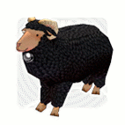 ������#016�Υ���ͥ���/�֥ޥӥΥ���3��ǯ��ǰ�ǥǥ����ȥɥ饴���о졣���ꥫ���������