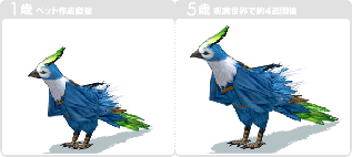 ������#017�Υ���ͥ���/�֥ޥӥΥ���3��ǯ��ǰ�ǥǥ����ȥɥ饴���о졣���ꥫ���������