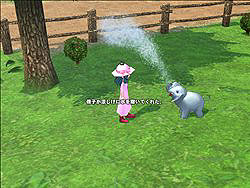 ������#004�Υ���ͥ���/�֥ޥӥΥ��ץۥ磻�ȥǡ����٥�Ȥǽ��λҤ˥��å�����ץ쥼���