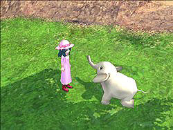 ������#007�Υ���ͥ���/�֥ޥӥΥ��ץۥ磻�ȥǡ����٥�Ȥǽ��λҤ˥��å�����ץ쥼���