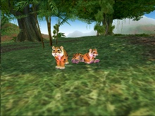 ���������꡼ No.019�Υ���ͥ������ / ����ϣ��ѻդ俷���ʥᥤ�󥹥ȥ꡼�ब�ɲá��֥ޥӥΥ����緿���åץǡ��ȡ�G11��������2�פ���������