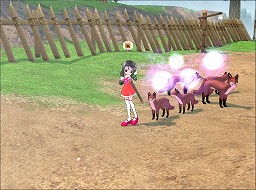 ꡼ No.033 | ֥ޥӥΥפ˥ԥо줹äƤʤˡ åץǡȡȥץ4ɤƤˤĤơڹγȯСľʹ