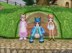 ꡼ No.008Υͥ / ֥ޥӥΥסդǽʡϲ̡פʤɤɲä緿åץǡȤ