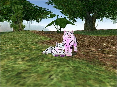 ꡼ No.010Υͥ / ֥ޥӥΥסդǽʡϲ̡פʤɤɲä緿åץǡȤ