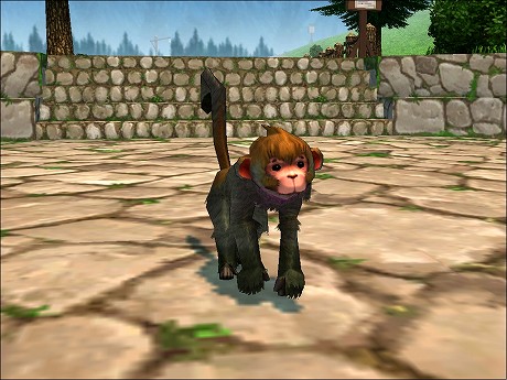 ꡼ No.011Υͥ / ֥ޥӥΥסդǽʡϲ̡פʤɤɲä緿åץǡȤ