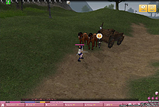 ꡼ No.014Υͥ / ֥ޥӥΥס֥ͥ졼15 The First Contractפ֥˥ξ͡ץդΥᥤ󥹥ȥ꡼ָץƥפʤɤɲä