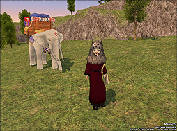 ꡼ No.001 | ֥ޥӥΥ׾˾˾͡פ̩͢ȼԤɲáζǯǰ