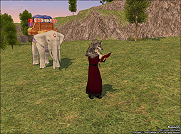 ꡼ No.002 | ֥ޥӥΥ׾˾˾͡פ̩͢ȼԤɲáζǯǰ