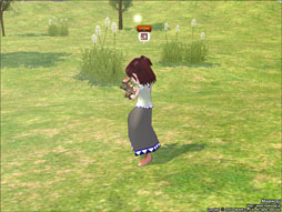 ���������꡼ No.004�Υ���ͥ������ / �֥ޥӥΥ��ס������˾�˶�ͷ���ͤ��ɲá��ڴ���Ȥ���Ũ���浪��