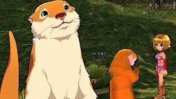 画像ギャラリー No.056のサムネイル画像 / 【PR】この夏「マビノギ」を始める人に贈るプレイガイド。独特のシステムも,ほんの少しのコツで面白さが倍増! 新規登録者にペットのプレゼントも