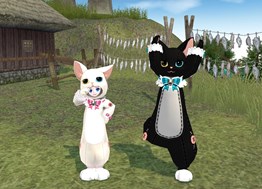 ���������꡼ No.005�Υ���ͥ������ / �֥ޥӥΥ��פ���ɹ���٥�Ȥ򳫻ϡ�������ܥå������ߤλפ���Ȣ������