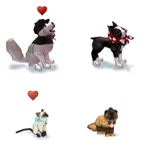 ���������꡼ No.006�Υ���ͥ������ / �֥ޥӥΥ��פΥץ쥤���Ӥʤɤ˱�������Ͽ�������С����åץ����ƥब����