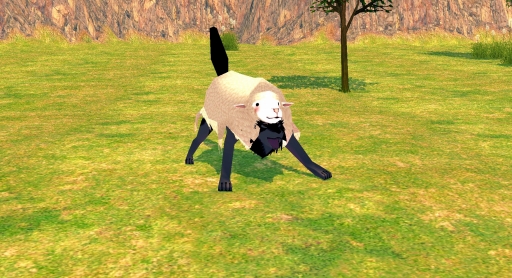 ���������꡼ No.005�Υ���ͥ������ / �֥ޥӥΥ��פ���Ѥ���ˡ��ǽ�β��Ѥ�»ܡ�Ʊ�������ǽ��