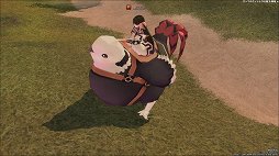 ꡼ No.011 | ֥ޥӥΥפȥ˥֤ β̡פΥåפ»ܡͥοΤꤵŤǥȯɽݡ