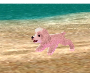 画像ギャラリー No.024のサムネイル画像 / 「マビノギ」のメインストリームG23「テンペスト」第2部が公開。新地域「スクアッブティン」も追加