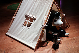 ꡼ No.037Υͥ / 륫ʡ֥ᥤס֥륱ߥåƥ󥬡פγפ줿֥ޥӥΥѡƥ2023ץݡȡᥤ󥹥ȥ꡼ϡ2024ǯƼͽ