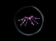 ���������꡼ No.011�Υ���ͥ������ / �֥ޥӥΥ��ס�������ǽ����Ʈ�����ѻաפ�������������ѻ�1st���åץǡ��Ȥ�»�