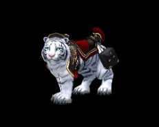 ���������꡼ No.021�Υ���ͥ������ / �֥ޥӥΥ��ס�������ǽ����Ʈ�����ѻաפ�������������ѻ�1st���åץǡ��Ȥ�»�