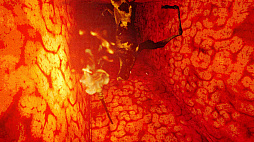 Liminal Sick Pizza Blue
