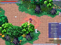 ꡼ No.012 | ǡ֥륬ǥפȥ쥢ȯ֥ץ饤ݥåȡפо졤ɼԸꥭڡդ֥ȥå0 --ץԥ5ԥݡ