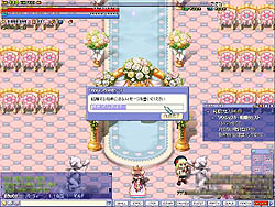 ꡼ No.011 | ˽ݤΥ쥳򥪥饤󥲡Ȥ!?֥ȥåפ˼줿ַ뺧ƥפȤ