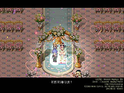 ꡼ No.015 | ˽ݤΥ쥳򥪥饤󥲡Ȥ!?֥ȥåפ˼줿ַ뺧ƥפȤ