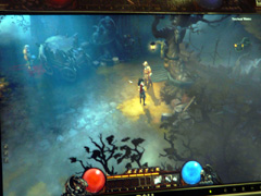 #004Υͥ/BlizzCon 2008WizardǤͷDiablo IIIץեȥץå