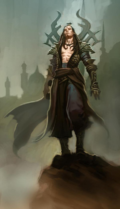 #011Υͥ/BlizzCon 2008Ϥä顤Diablo IIIפBarbarianWitch Doctorץ쥤