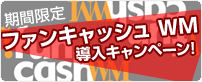 画像ギャラリー No.001のサムネイル画像 / 「ハンゲーム」の専用電子マネー「funcash WM」，本日発売