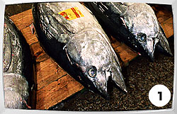 画像ギャラリー No.002のサムネイル画像 / 「ハンゲーム」OBTで好評を博した「クイズチャンネル」サービス開始