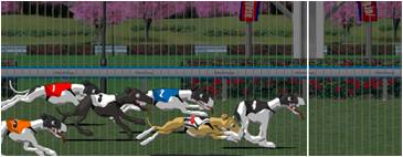 画像ギャラリー No.007のサムネイル画像 / 「ハンゲームパチンコDX」，オリジナル機種「WWD」サービス開始