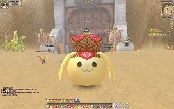 ꡼ No.016 | PR֥֥ۡ饦֡פ81keysפ10󥪥դǳڤˡ줬֥ϥ󥲡פβʳ̿ȥϥ󥫥ɤ