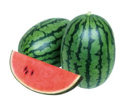 ꡼ No.001 | ֥ϥåԡ٥ե׷ֻܸԤȤΥå״3Ƥ»