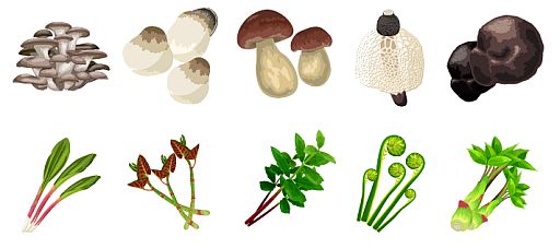 ���������꡼ No.010�Υ���ͥ������ / �֥ϥåԡ��٥��ե�ס�2��ǯ��ǰ���ƥå����򽸤�Ƹ��ꥢ���ƥ���餪��