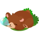 ꡼ No.007Υͥ / ֥ϥåԡ٥եפ˸̤Ϳ֥եС׵ǽ