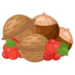 ꡼ No.011 | ֥ϥåԡ٥եפ˸̤Ϳ֥եС׵ǽ