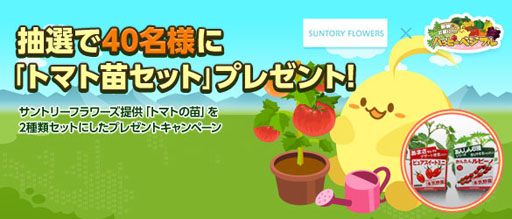 画像ギャラリー No.001のサムネイル画像 / 「ハッピーベジフル」，トマト苗セットをもらえるキャンペーンを開催
