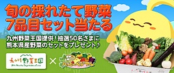 画像集#001のサムネイル/「ハッピーベジフル」,熊本県産野菜が50名に当たるキャンペーンを開始