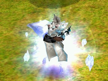 ���������꡼ No.017�Υ���ͥ������ / �֥����Υ���10�����ͽ��Ρ�ž��2�����饹�ɤξ���ΰ��������